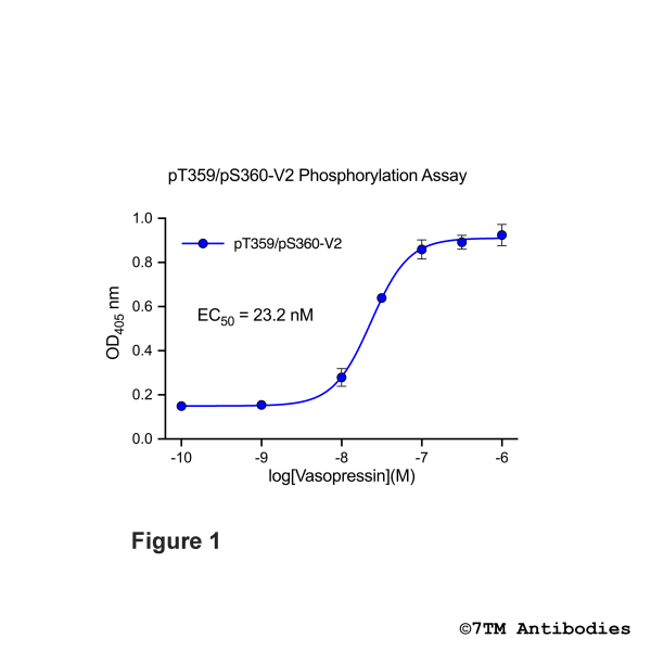 OD signals in pT359/pT360-V2 Phosphorylation Assay