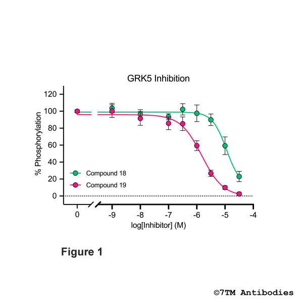 GRK5/6 Inhibitor 2 (Cmpd 19)